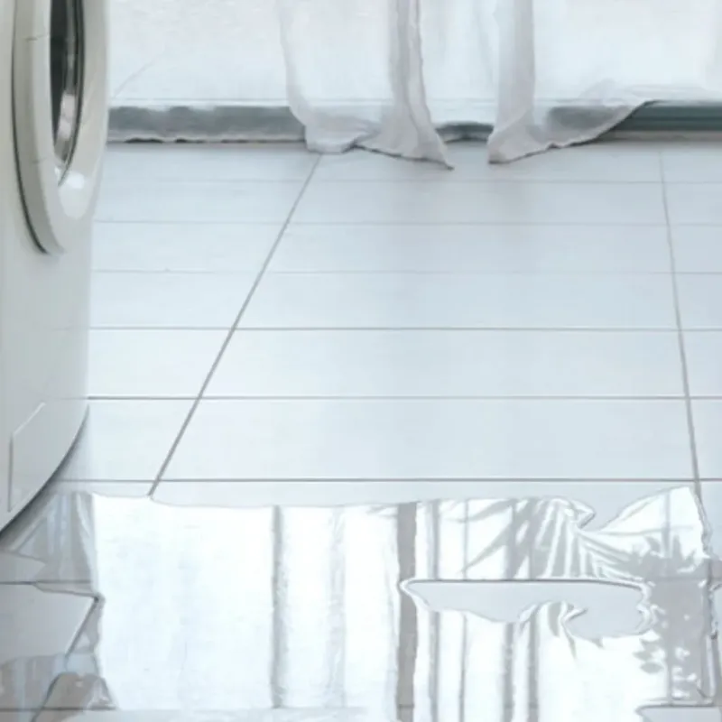 Appliance Leak Cleanup in Effingham County, IL