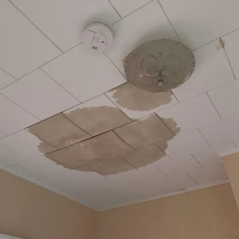 Ceiling Water Damage Repair in Effingham County, IL