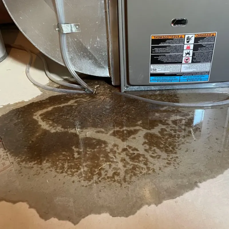 Pipe Burst and Leak Restoration in Effingham County, IL