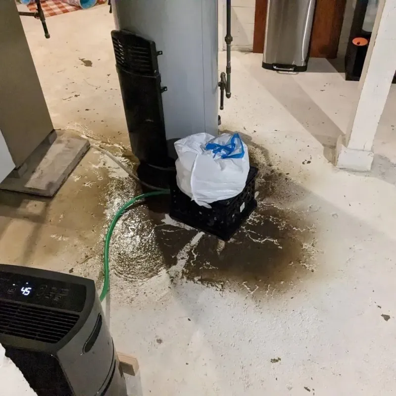 Sewage Backup Cleanup Service in Effingham County, IL